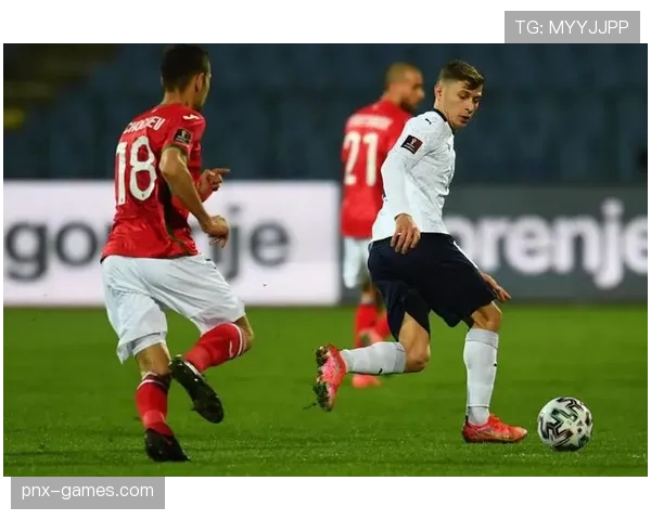 琼阿梅尼 vs 巴雷拉：中场活动范围与覆盖能力对比